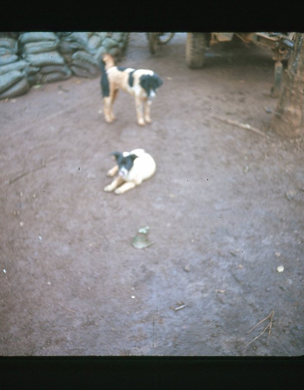 img320